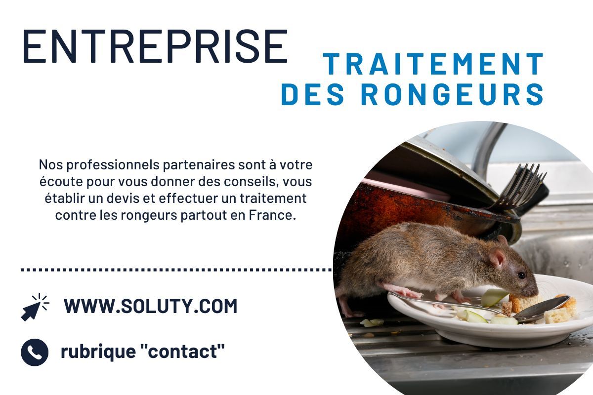 Dératisation des rats et souris - SOLUTY