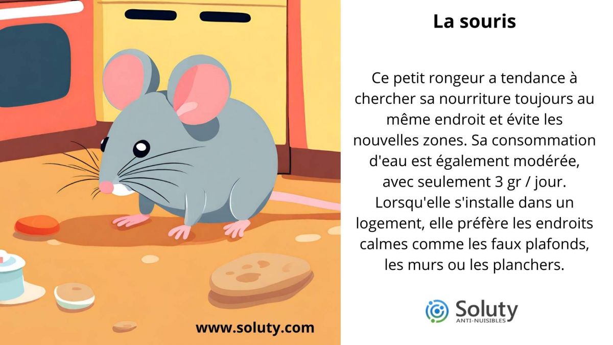 LA SOURIS