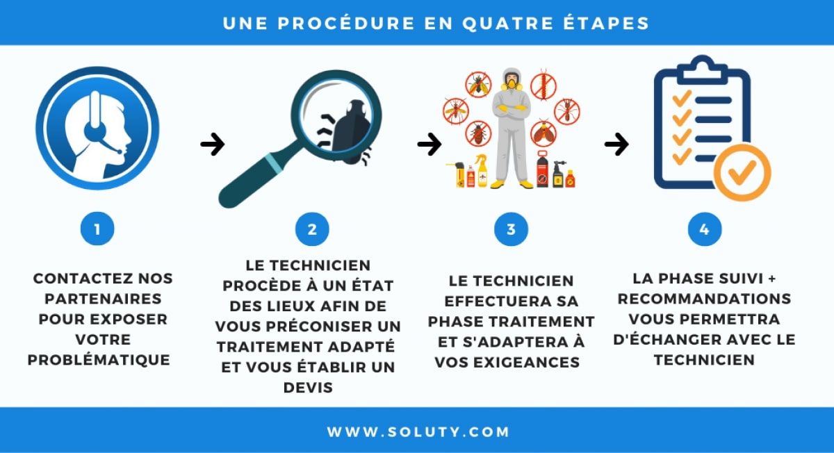 Dératisation des rats et souris - SOLUTY