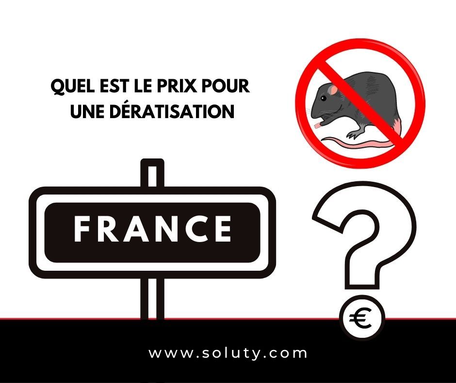 Quel est le prix pour une dératisation par une société spécialisée ?