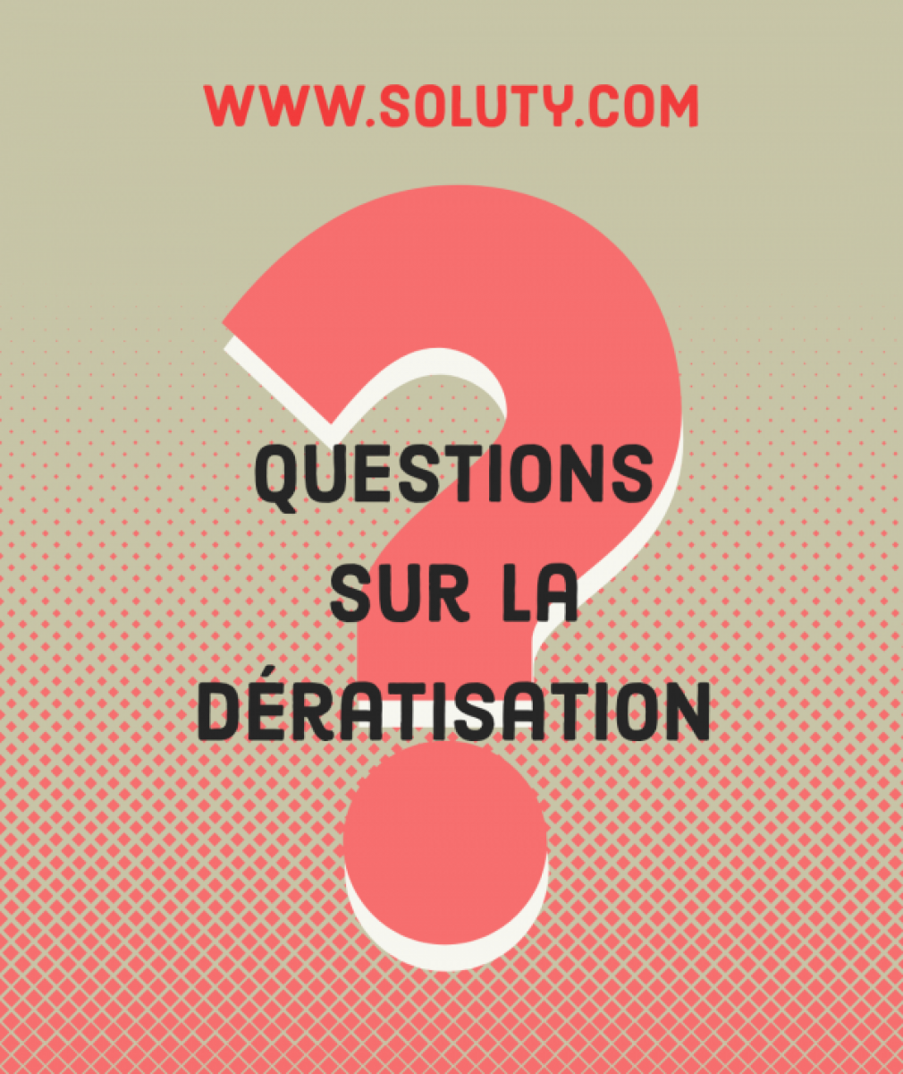 tout savoir sur la dératisation