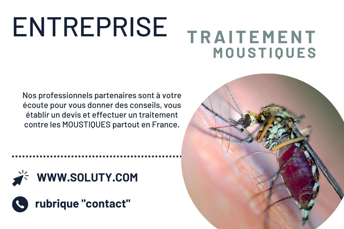 Entreprise de démoustication : traitement des moustique