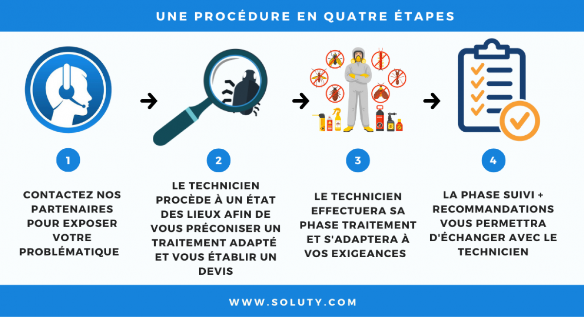 les différentes phases de traitement en lutte anti-nuisibles