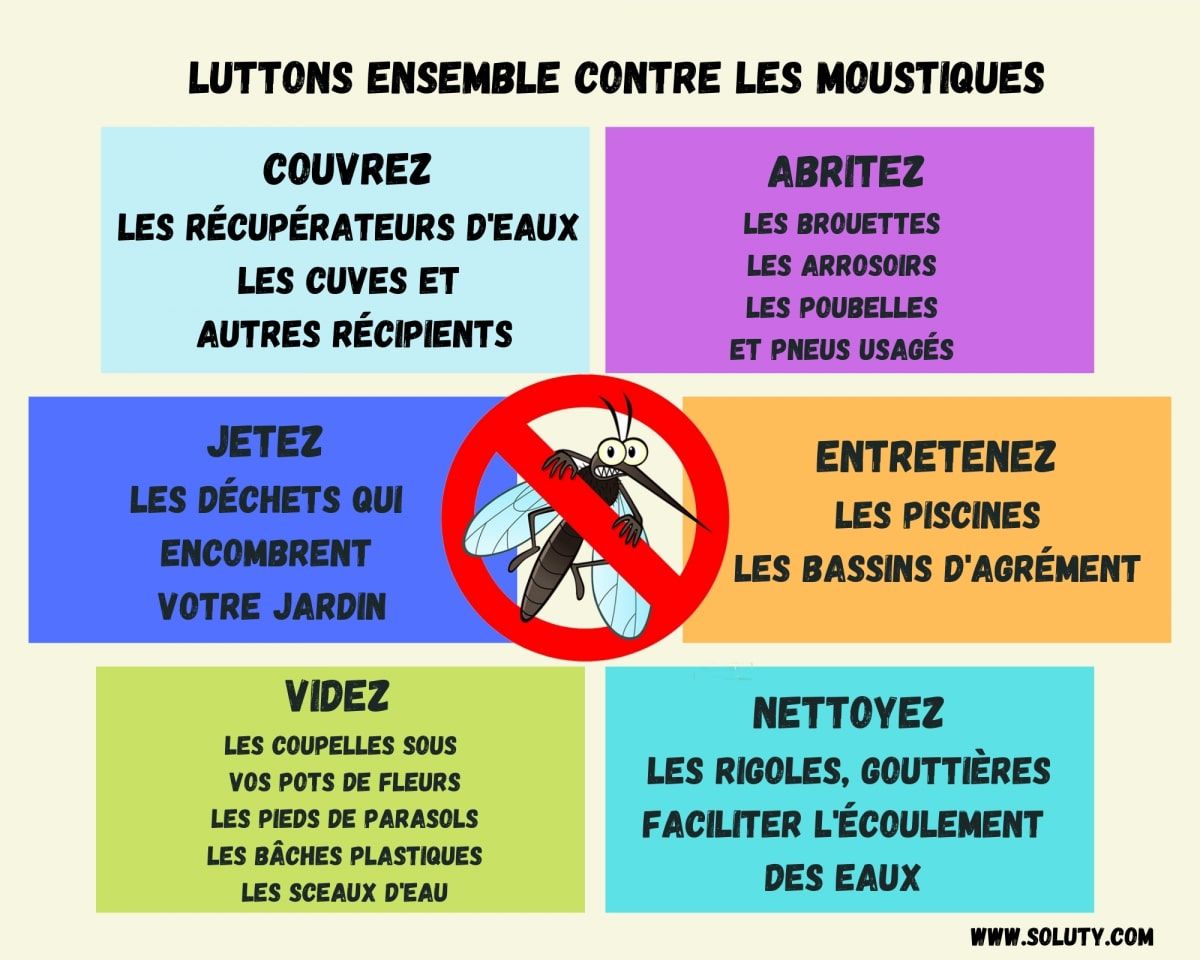 Des conseils de notre entreprise pour diminuer la propagation du moustique