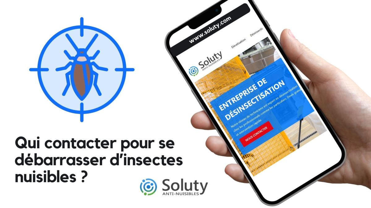 Qui appeler en cas de problèmes d'insectes rampants et volants et s'en débarrasser au Cannet ?