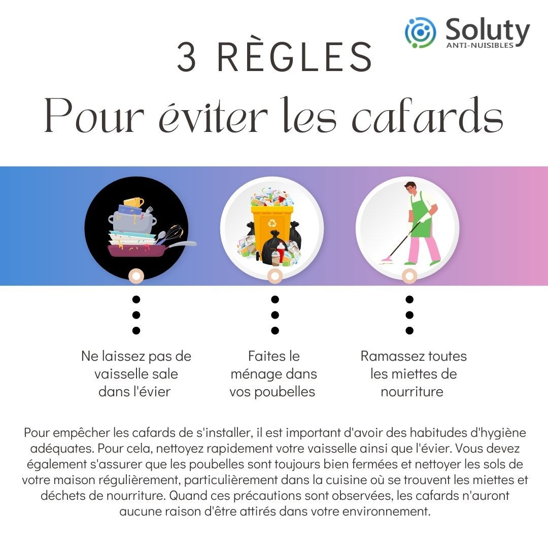 astuces pour éviter les cafards 