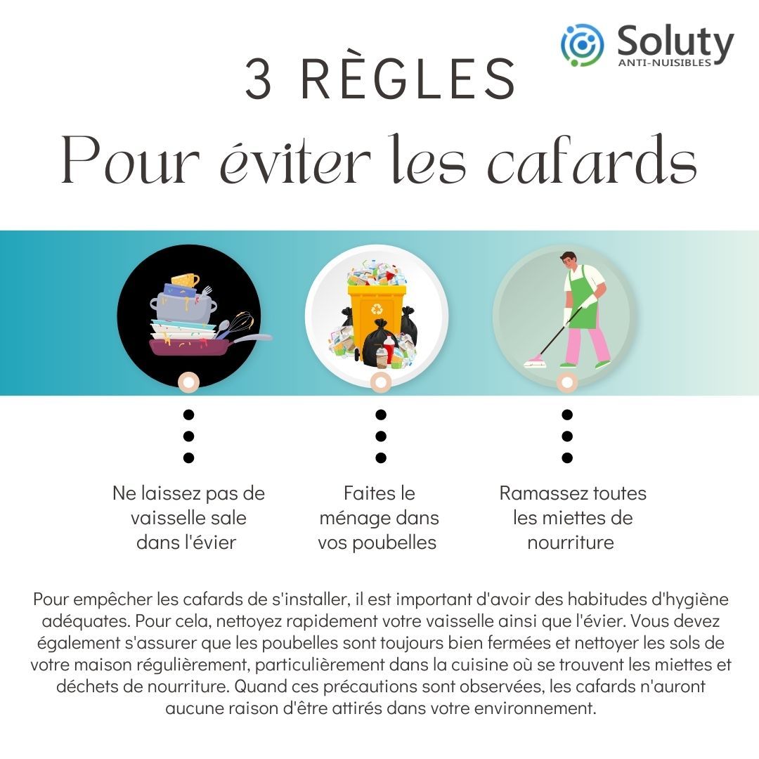 astuces pour éviter les cafards