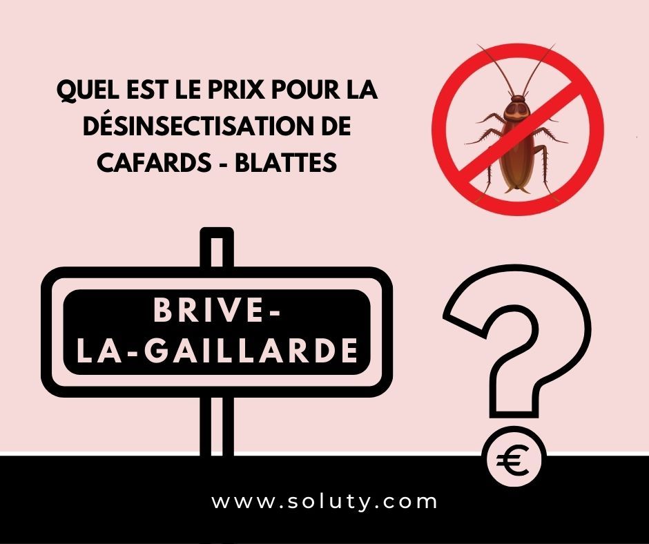 TARIFS : Le coût de l’extermination des blattes à Brive-la-Gaillarde