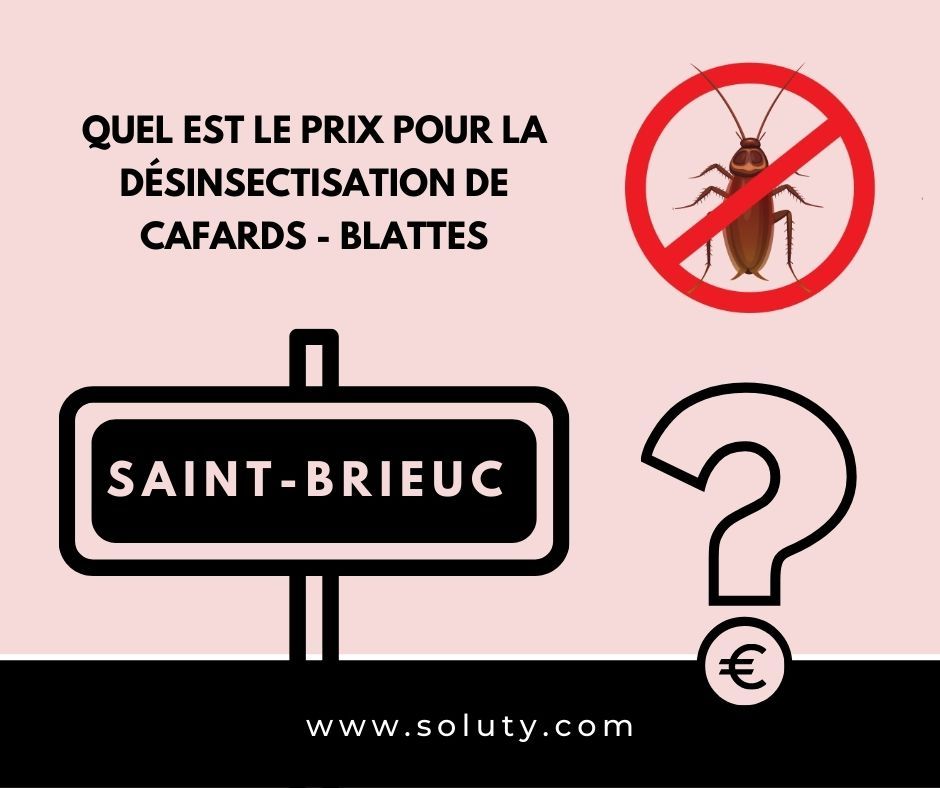 TARIFS : Quel est le prix pour lutter contre une invasion de cafards à Saint-Brieuc (22) ?