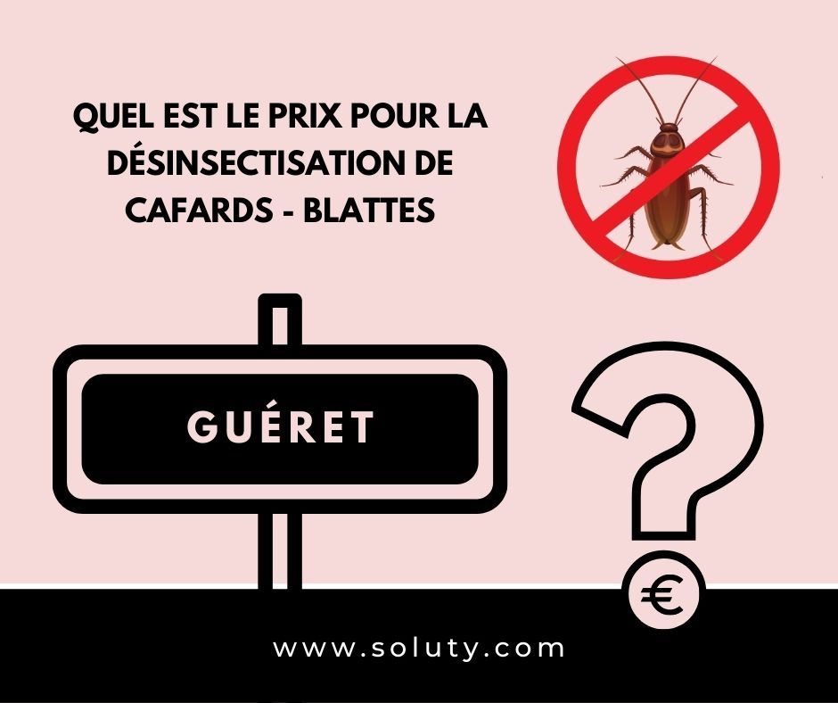 TARIFS : Quel est le coût pour se débarrasser d’une invasion de cafards à Guéret (23) ?