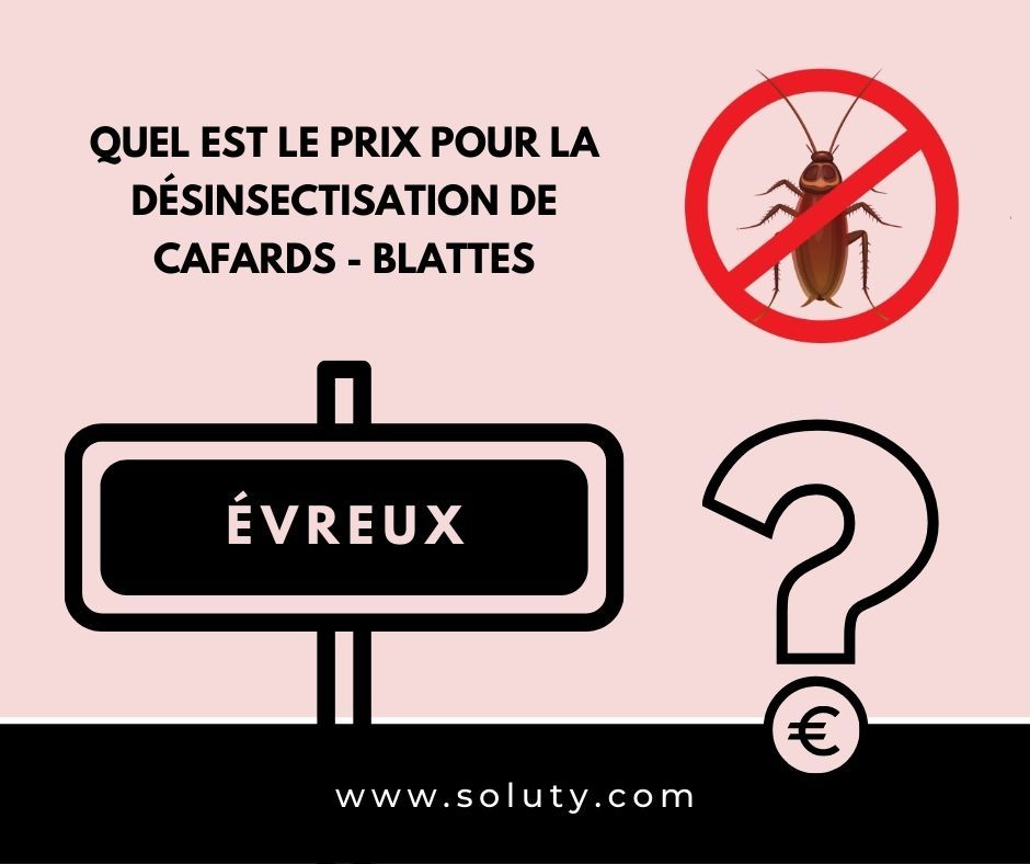 TARIFS : Combien coûte une désinsectisation des cafards par notre entreprise partenaire à Évreux (27) ?