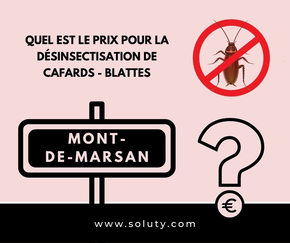 tarif pour une désinsectisation du cafard Mont-de-Marsan (40)