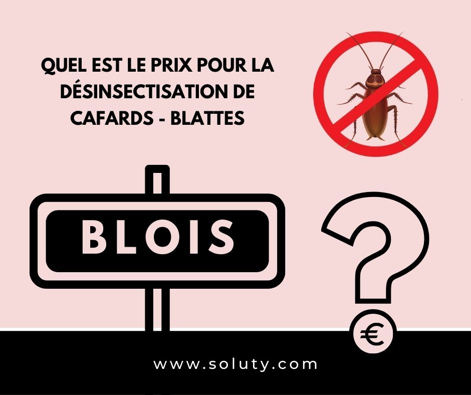 TARIFS : BLOIS quel est le prix pour la destruction de cafards blattes ?