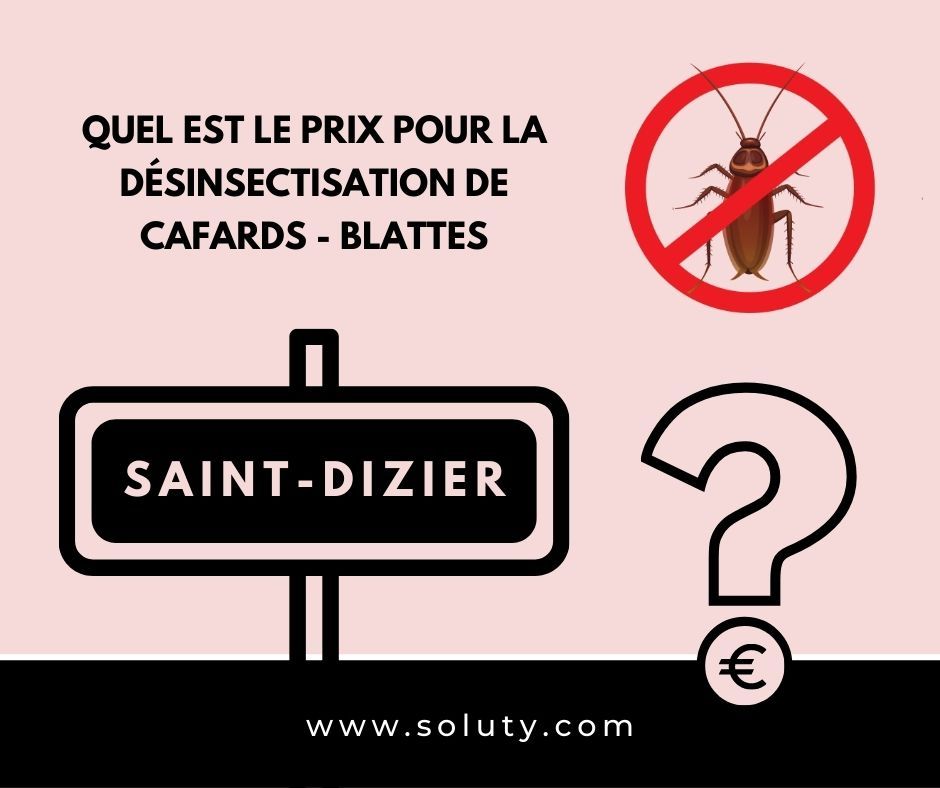 TARIFS : Combien coûte l’éradication des cafards à Saint-Dizier (52) ?