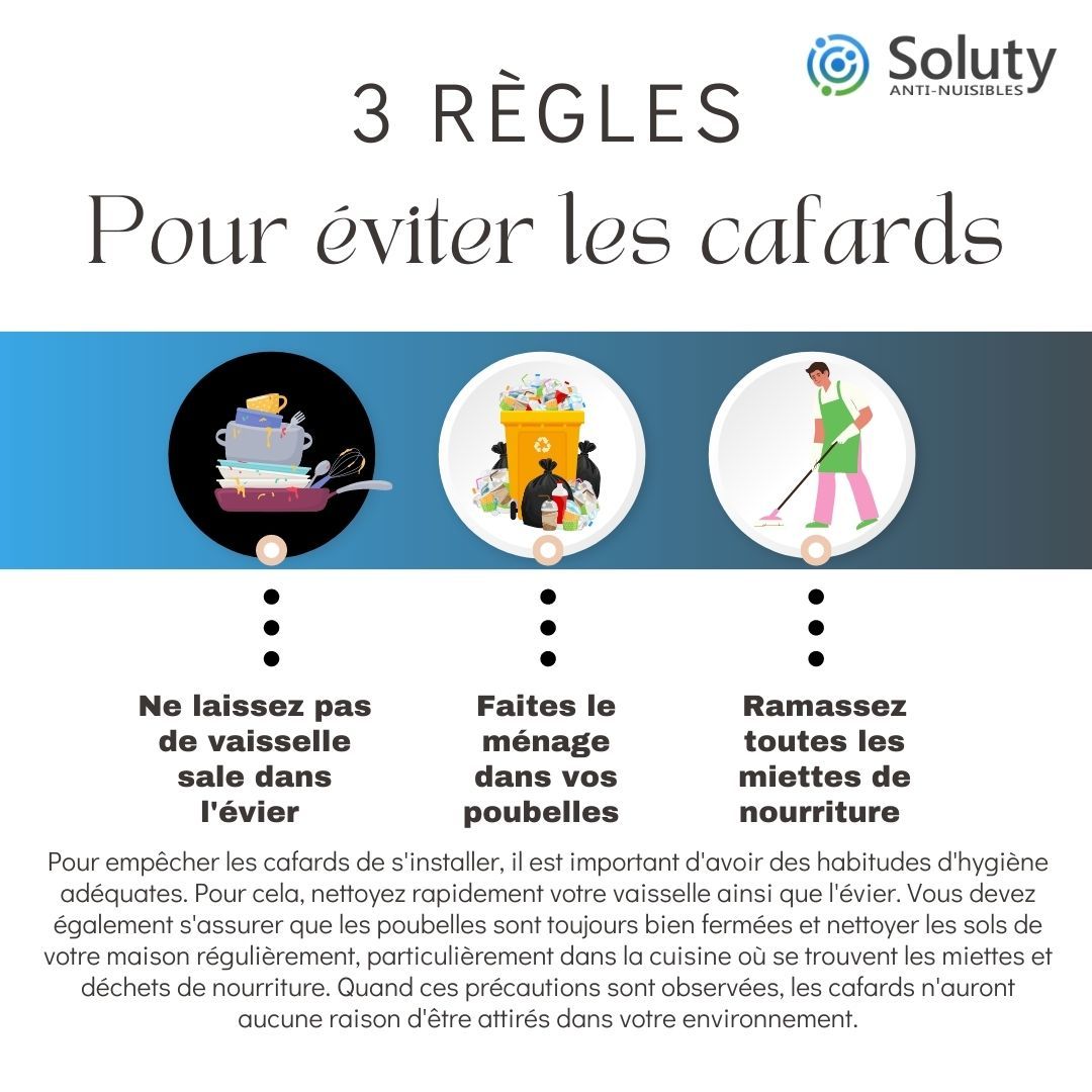 astuces pour éviter les cafards 