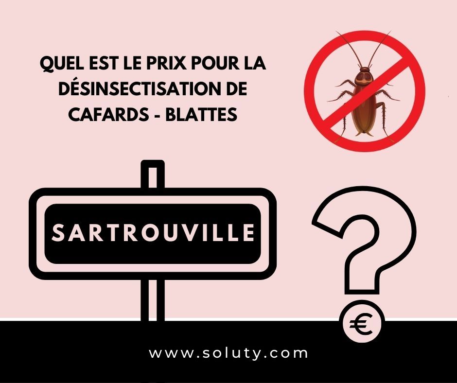 Quel tarif pour éradiquer une invasion de blattes à Sartrouville (78) ? 