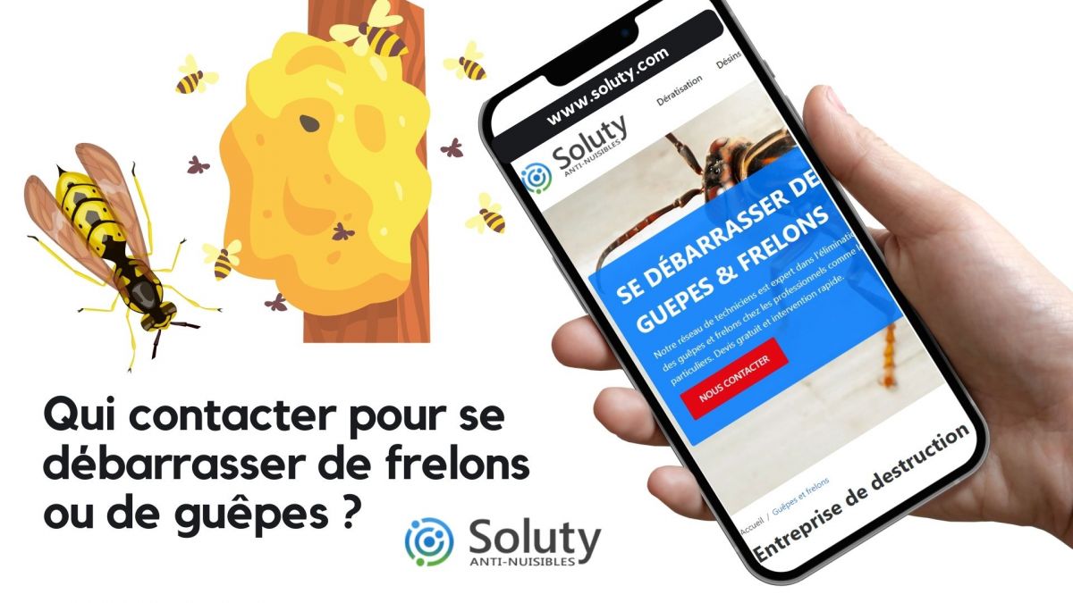 Qui appeler pour détruire un nid de guêpes ?