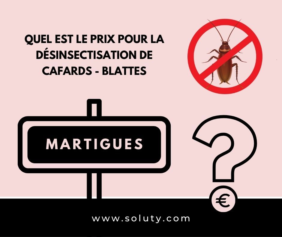 TARIFS : Quel est le prix pour être débarrassé d’une invasion de cafards à Martigues (13) ?