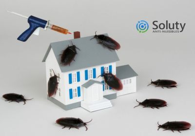 Combien coute une desinsectisation professionnelle contre les blattes