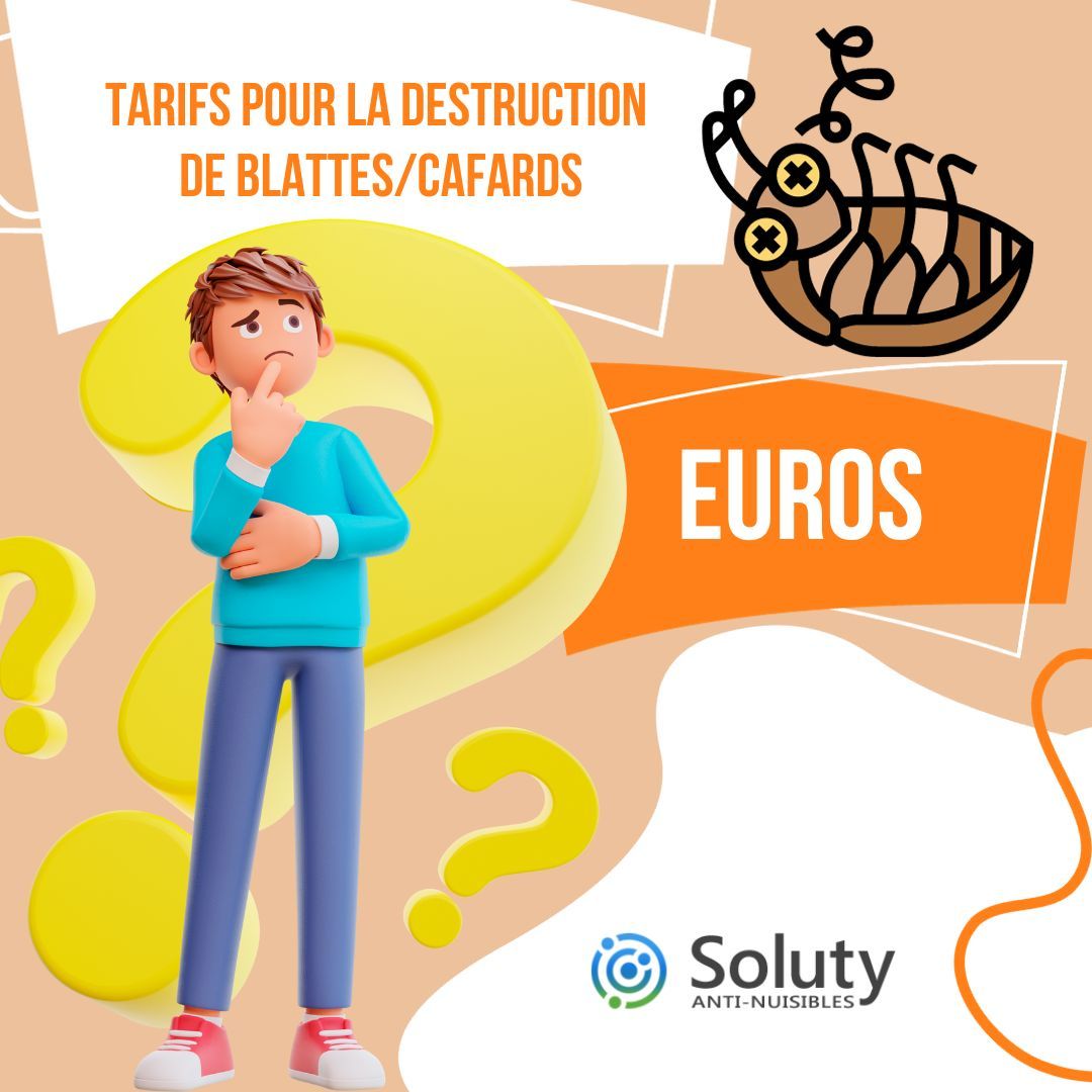 infographie sur Tarifs d'une désinsectisation anti cafards - blattes 