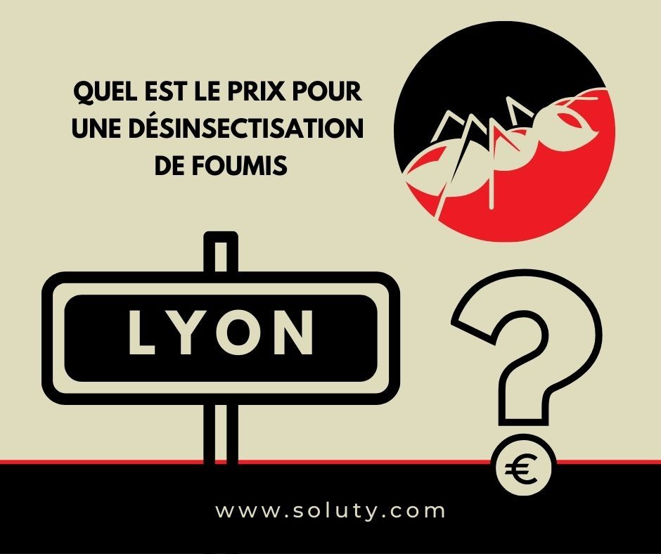 LYON quel est le prix pour la désinsectisation de fourmis ?