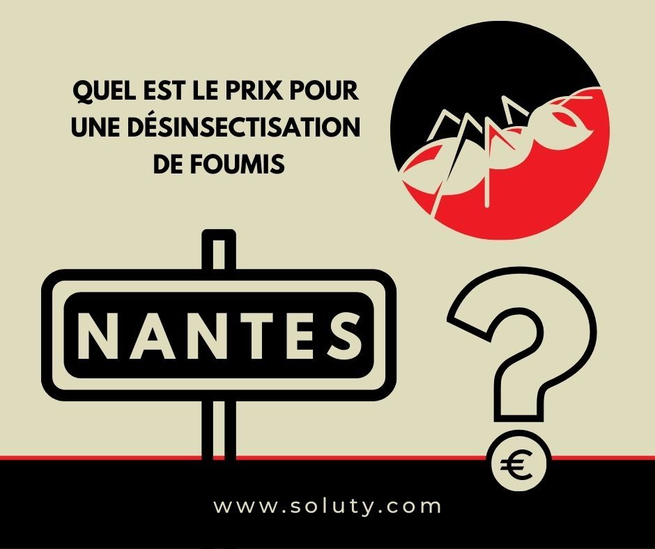 NANTES quel est le prix pour la désinsectisation de fourmis ?