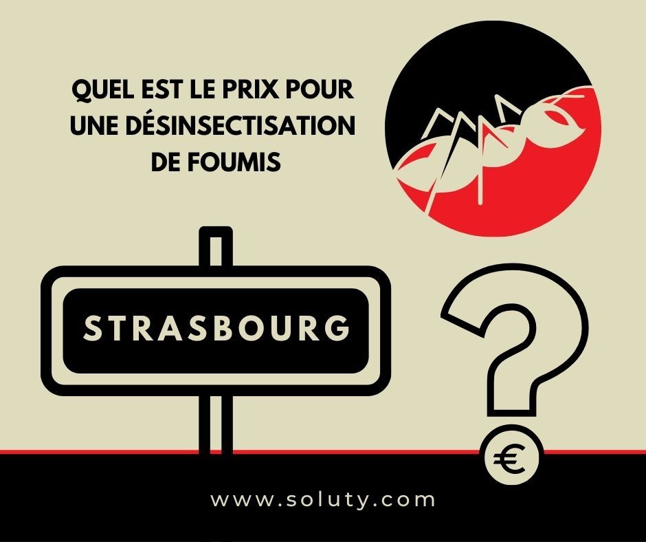 STRASBOURG quel est le prix pour la désinsectisation de fourmis ?