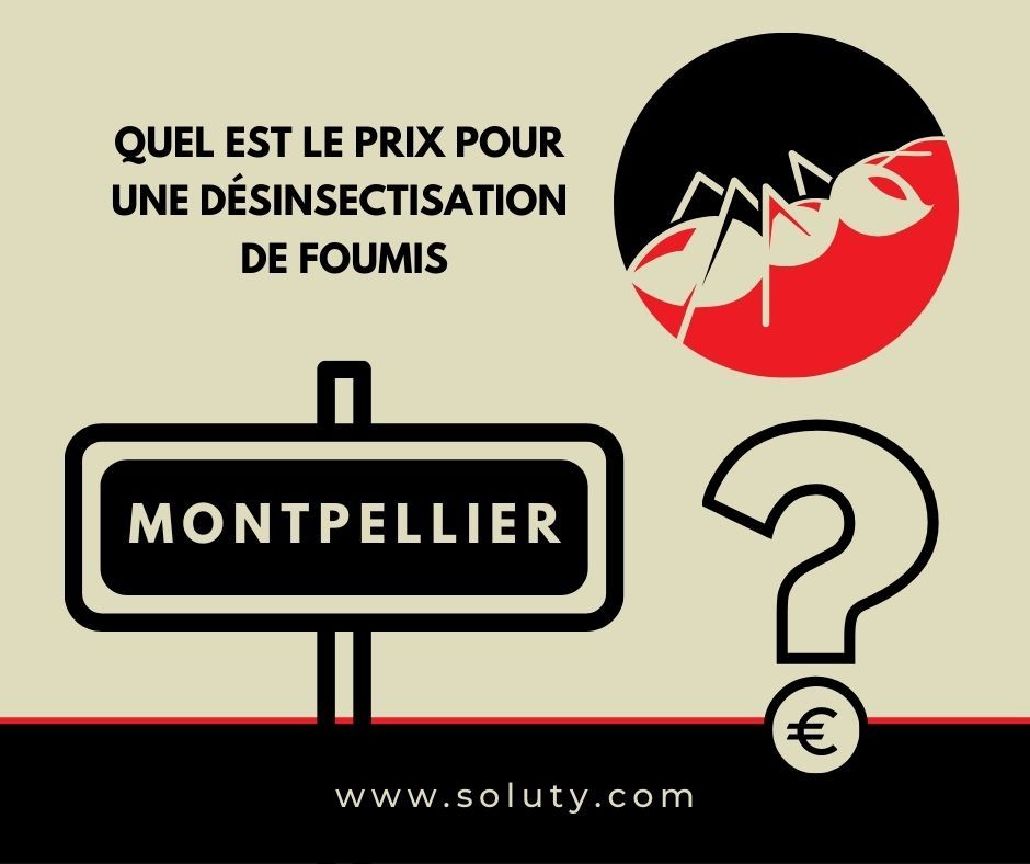 MONTPELLIER quel est le prix pour la désinsectisation de fourmis ?