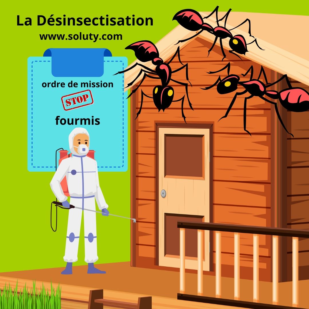 Désinsectisation contre les fourmis