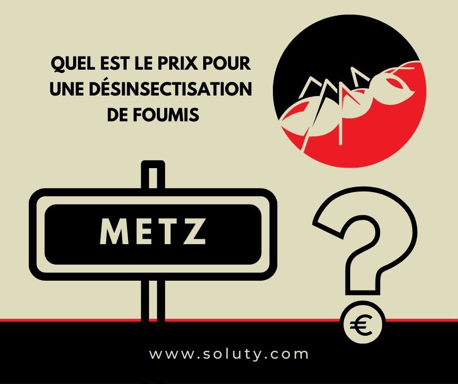 METZ quel est le prix pour la désinsectisation de fourmis ?