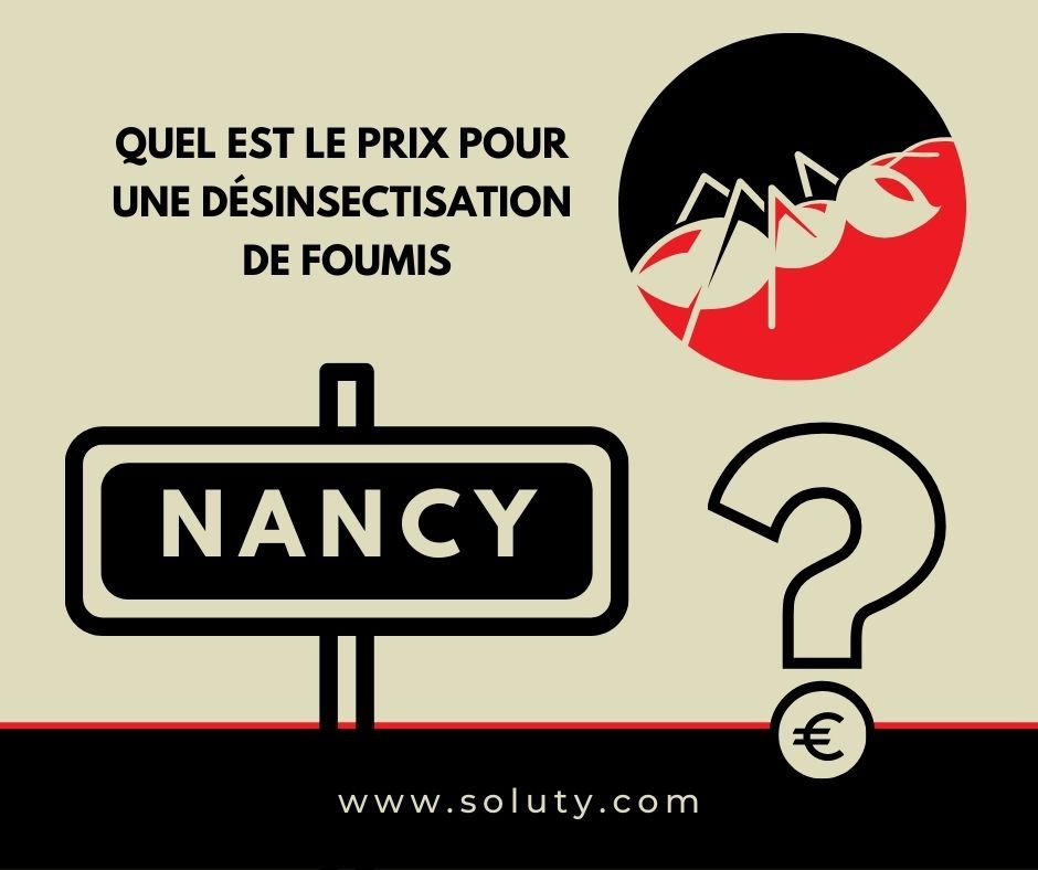 NANCY quel est le prix pour la désinsectisation de fourmis ?