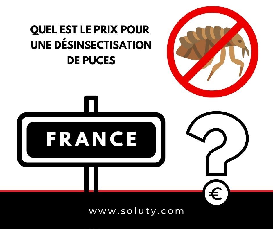 Quel est le tarif d'un traitement pour se débarrasser des puces dans une maison ?