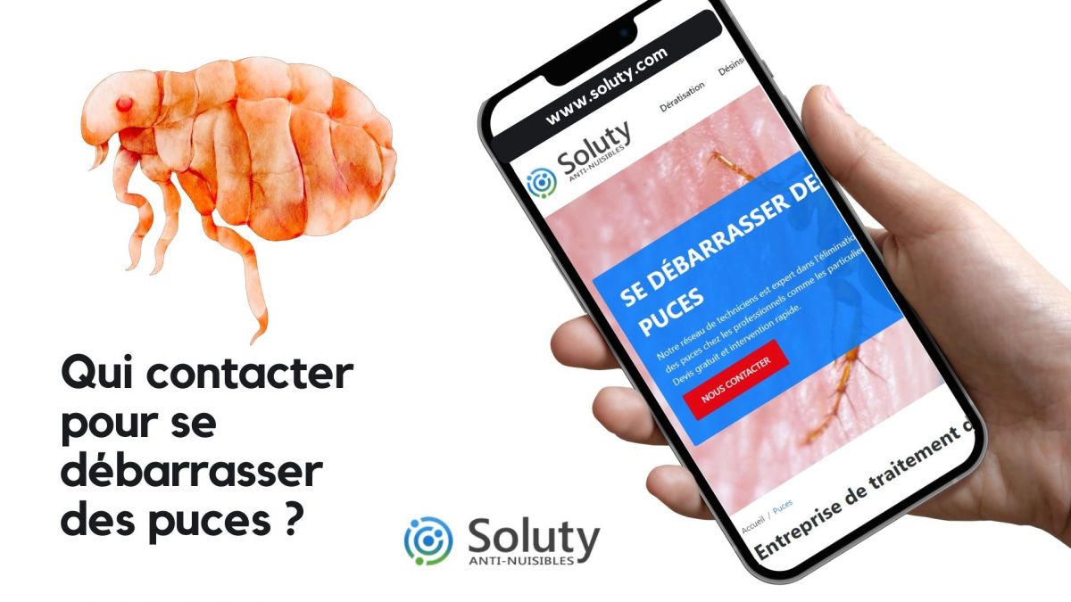 Puces : qui appeler pour se débarrasser de ces insectes ? 