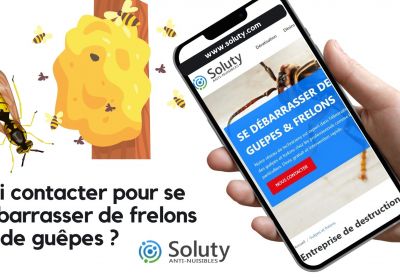 Qui contacter pour detruire un nid de frelons ou de guepes 2