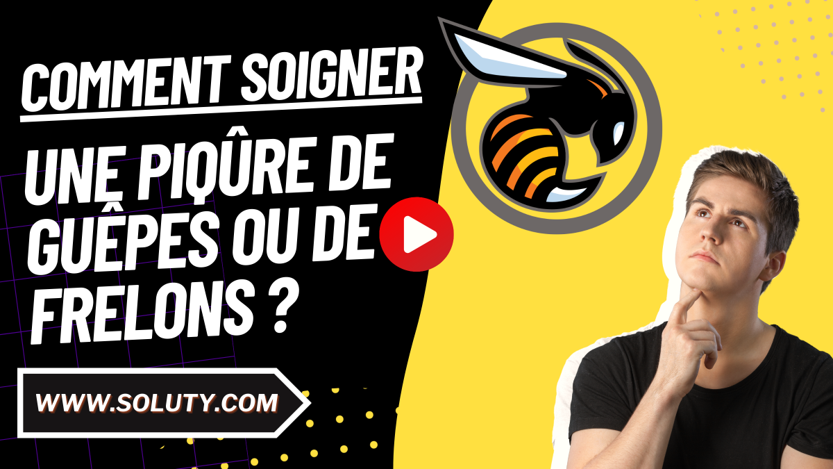 soigner-une-piq-re-de-frelon-conseils-et-traitements-efficaces-soluty