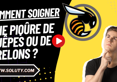Comment soigner une piqure de guepes ou de frelons guide pratique et conseils 1