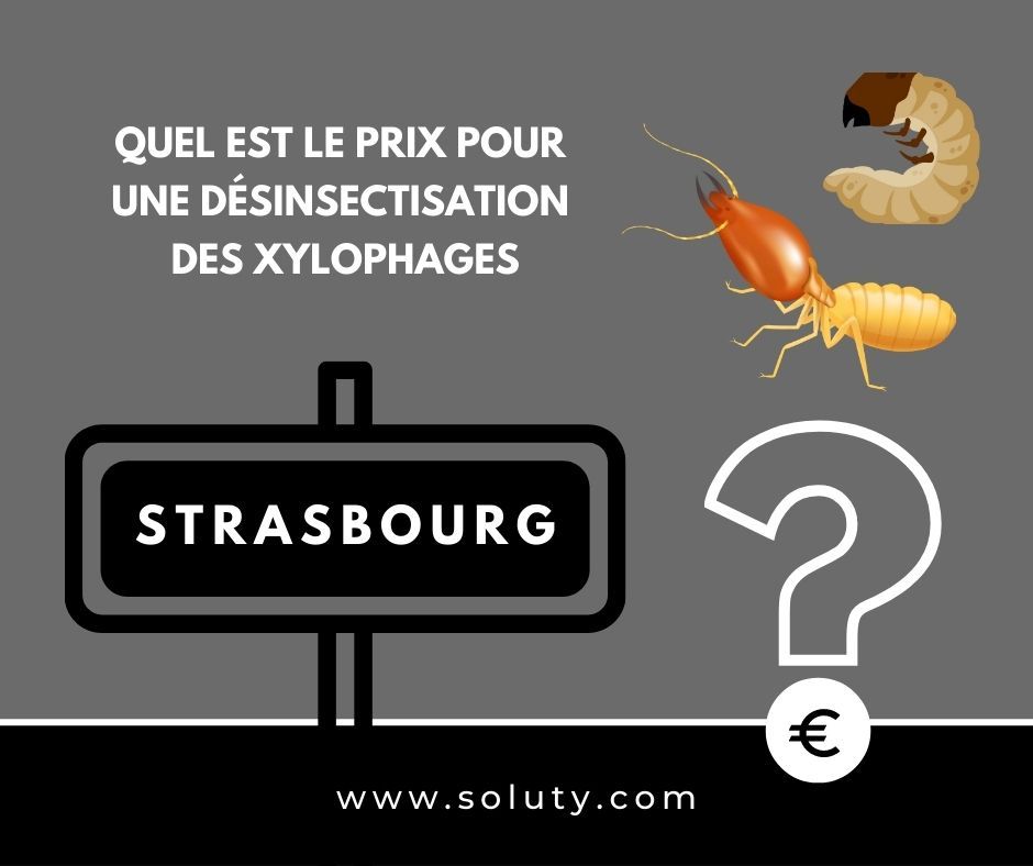 quel est le prix pour un traitement de désinsectisation insectes xylophages ? 