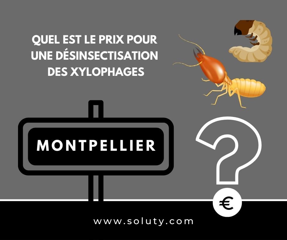 quel est le prix pour un traitement de désinsectisation insectes xylophages ? 