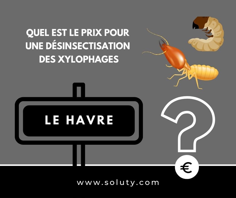 quel est le prix pour un traitement de désinsectisation insectes xylophages ? 