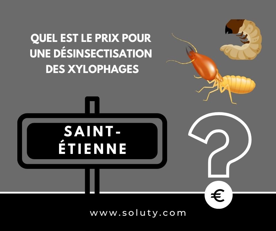 quel est le prix pour un traitement de désinsectisation insectes xylophages ? 