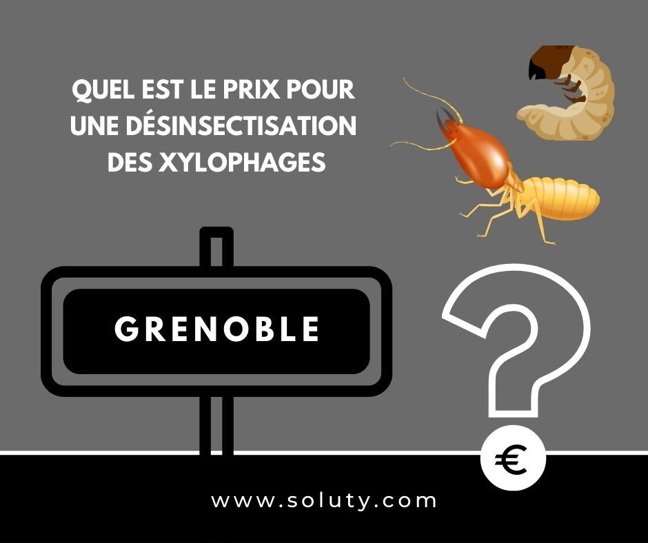 quel est le prix pour un traitement de désinsectisation insectes xylophages ? 