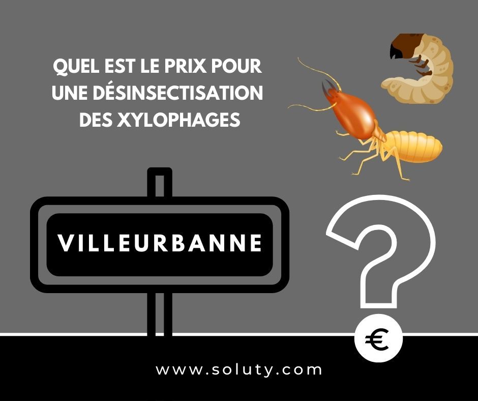 quel est le prix pour un traitement de désinsectisation insectes xylophages ? 