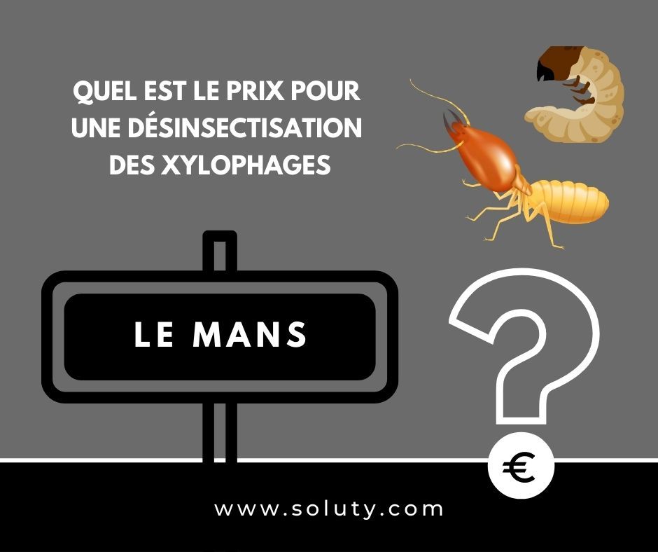 quel est le prix pour un traitement de désinsectisation insectes xylophages ? 