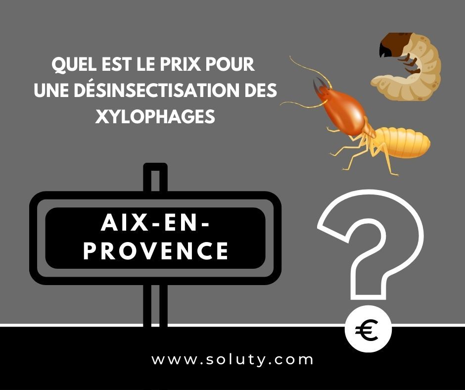 quel est le prix pour un traitement de désinsectisation insectes xylophages ? 