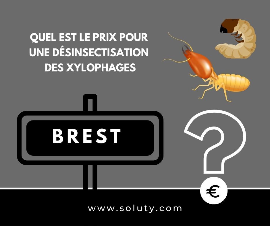 quel est le prix pour un traitement de désinsectisation insectes xylophages ? 