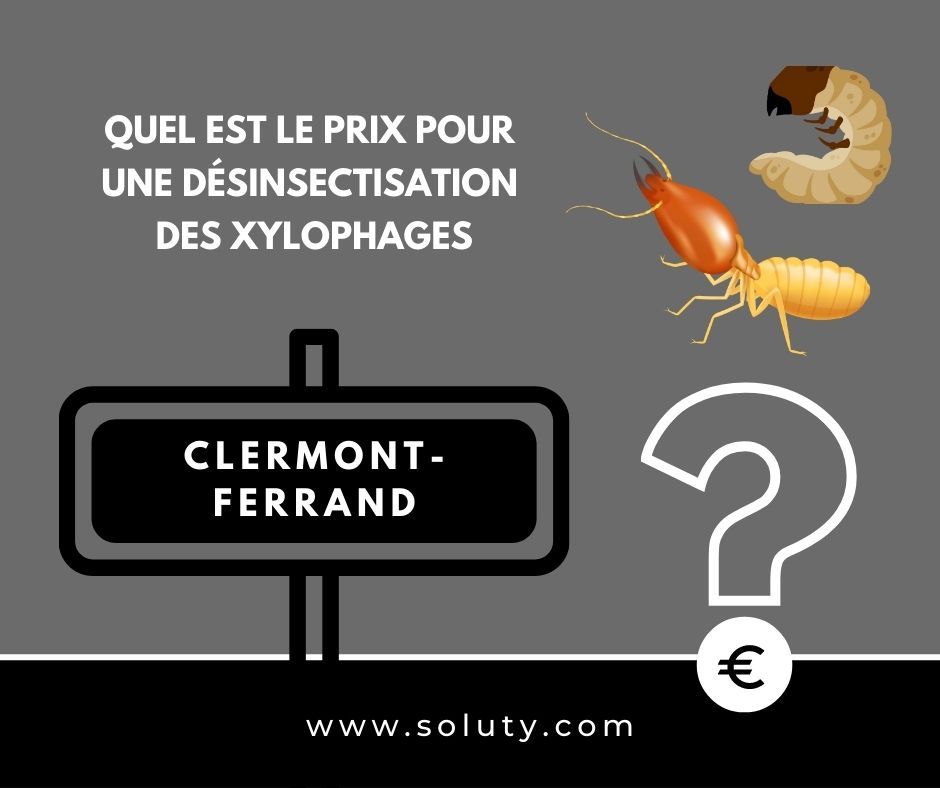 quel est le prix pour un traitement de désinsectisation insectes xylophages ? 