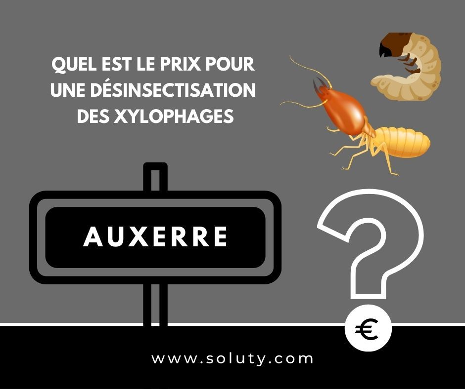 quel est le prix pour un traitement de désinsectisation insectes xylophages ? 