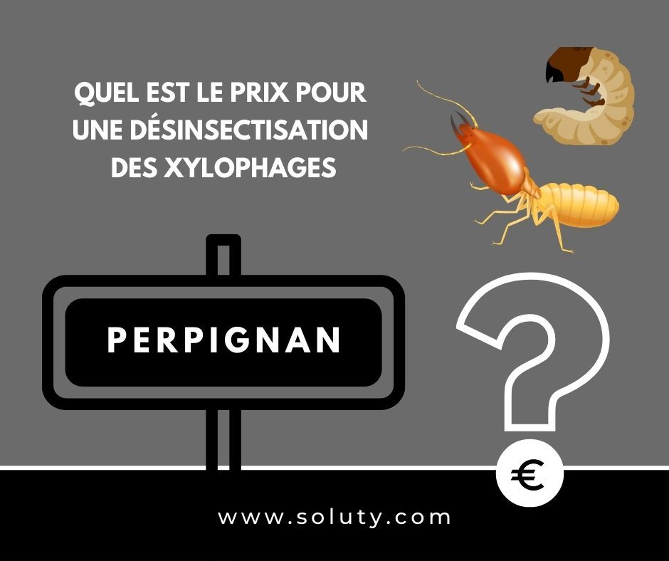 quel est le prix pour un traitement de désinsectisation insectes xylophages ? 