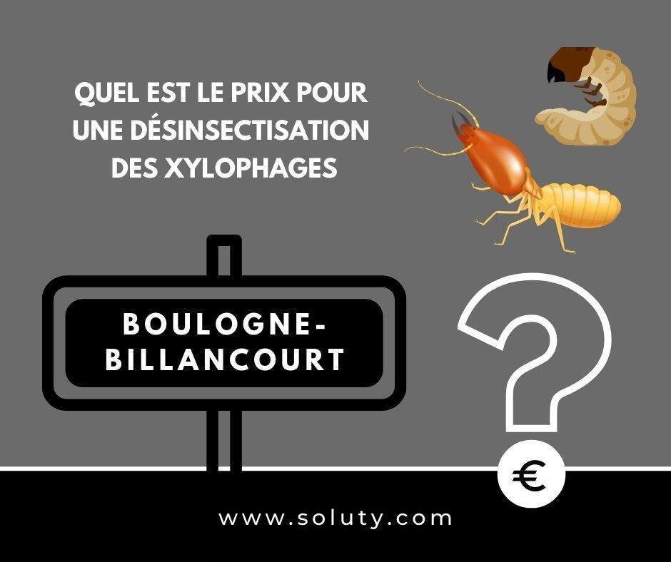 quel est le prix pour un traitement de désinsectisation insectes xylophages ? 