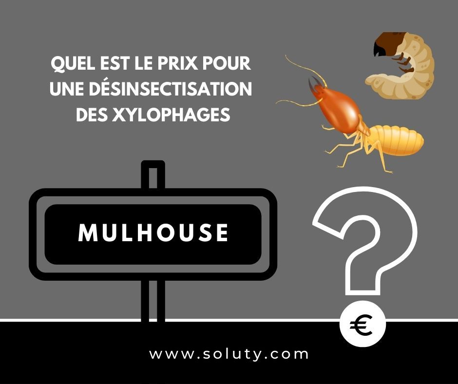 quel est le prix pour un traitement de désinsectisation insectes xylophages ? 